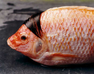 Illustration for article titled Hair Fish.